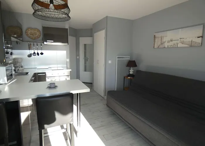 アパート Moderne, 100m De La Plage, Parking Et Wifi Inclus - Fr-1-328-253 *